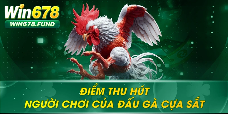 Điểm thu hút người chơi của Đá gà cựa sắt